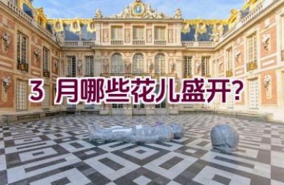 3月哪些花儿盛开？