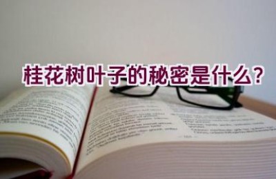 桂花树叶子的秘密是什么？