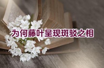 为何藤叶呈现斑驳之相
