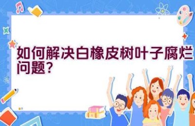 如何解决白橡皮树叶子腐烂问题？