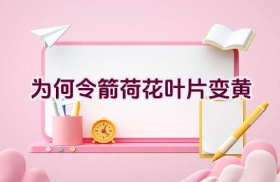 为何令箭荷花叶片变黄