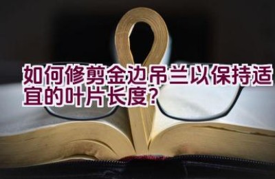 如何修剪金边吊兰以保持适宜的叶片长度？