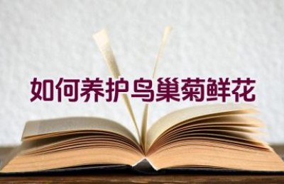 如何养护鸟巢菊鲜花