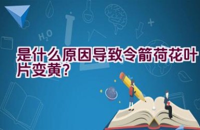 是什么原因导致令箭荷花叶片变黄？