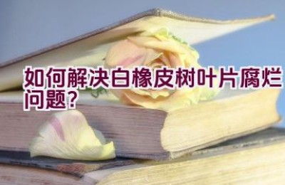 如何解决白橡皮树叶片腐烂问题？