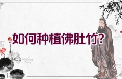 如何种植佛肚竹？