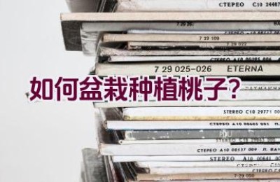 如何盆栽种植桃子？