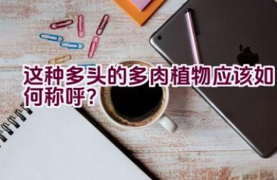 这种多头的多肉植物应该如何称呼？