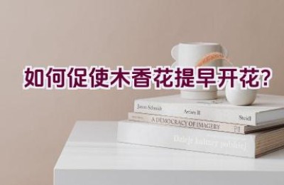 如何促使木香花提早开花？