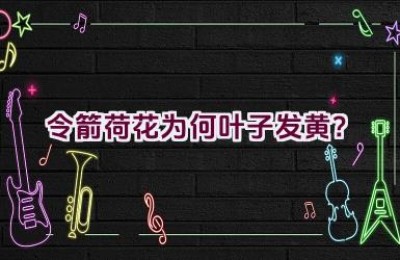 令箭荷花为何叶子发黄？