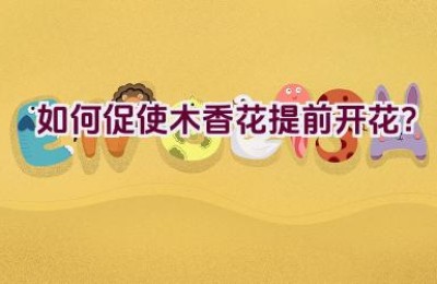 如何促使木香花提前开花？