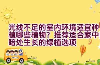 光线不足的室内环境适宜种植哪些植物？推荐适合家中阴暗处生长的绿植选项