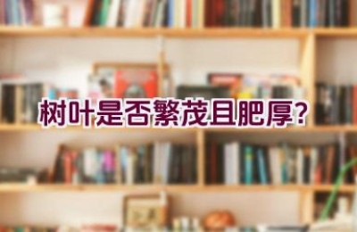 树叶是否繁茂且肥厚？