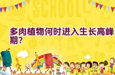 多肉植物何时进入生长高峰期？