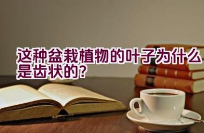 这种盆栽植物的叶子为什么是齿状的？