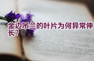 金边吊兰的叶片为何异常伸长？