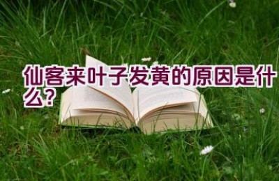 仙客来叶子发黄的原因是什么？