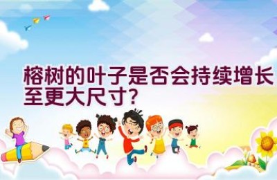 榕树的叶子是否会持续增长至更大尺寸？