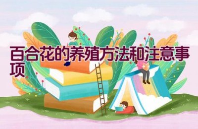 百合花的养殖方法和注意事项