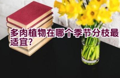 多肉植物在哪个季节分枝最适宜？