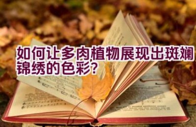 “如何让多肉植物展现出斑斓锦绣的色彩？”