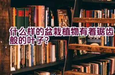 什么样的盆栽植物有着锯齿般的叶子？