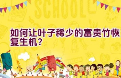 如何让叶子稀少的富贵竹恢复生机？