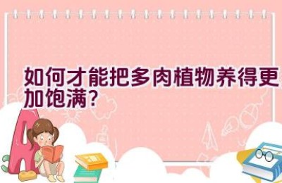 如何才能把多肉植物养得更加饱满？