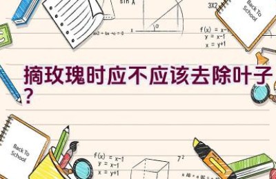 摘玫瑰时应不应该去除叶子？