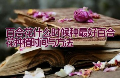 百合花什么时候种最好（百合花种植时间与方法）