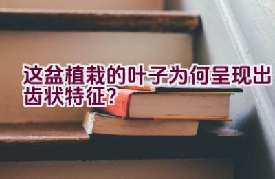 这盆植栽的叶子为何呈现出齿状特征？