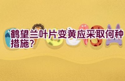 鹤望兰叶片变黄应采取何种措施？