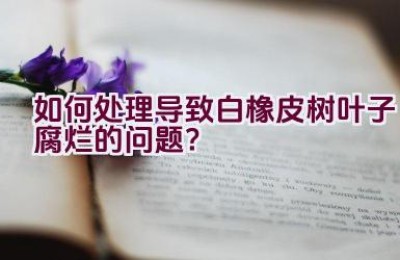 如何处理导致白橡皮树叶子腐烂的问题？
