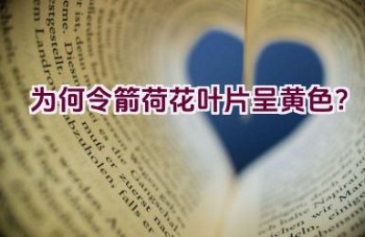 为何令箭荷花叶片呈黄色？