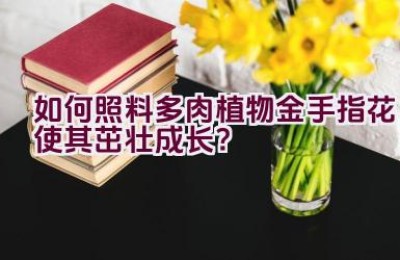 “如何照料多肉植物金手指花使其茁壮成长？”