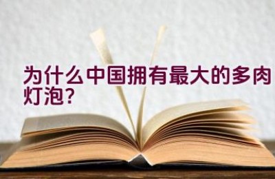 为什么中国拥有最大的多肉灯泡？