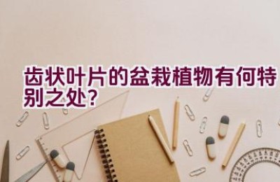 齿状叶片的盆栽植物有何特别之处？