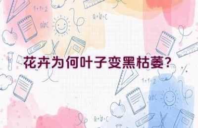 花卉为何叶子变黑枯萎？