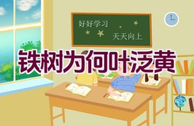 铁树为何叶泛黄