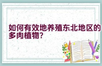 如何有效地养殖东北地区的多肉植物？
