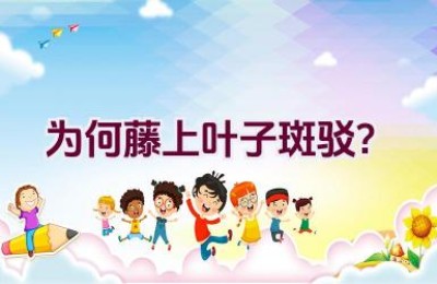 为何藤上叶子斑驳？