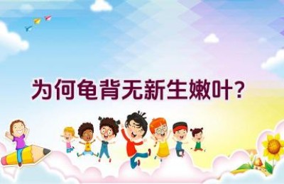 为何龟背无新生嫩叶？