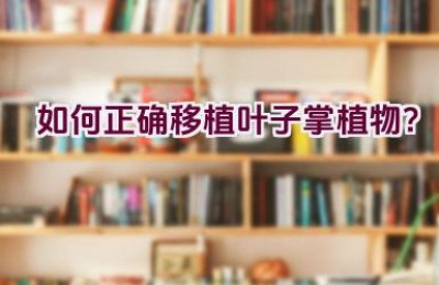 如何正确移植叶子掌植物？