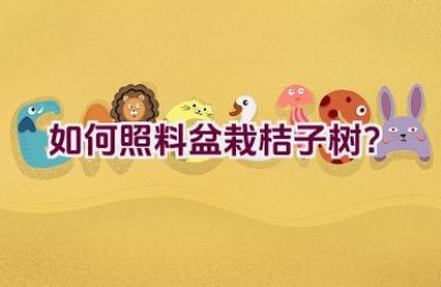 如何照料盆栽桔子树？