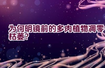 为何明镜前的多肉植物凋零枯萎？