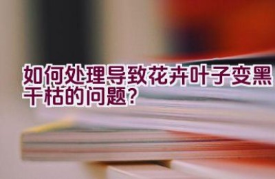 如何处理导致花卉叶子变黑干枯的问题？