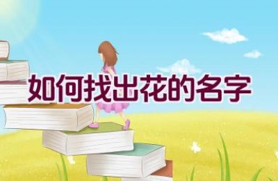 如何找出花的名字