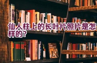 仙人柱上的长叶片照片是怎样的？