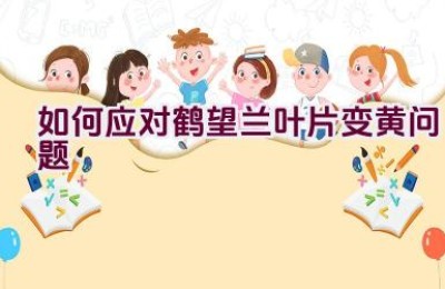 如何应对鹤望兰叶片变黄问题