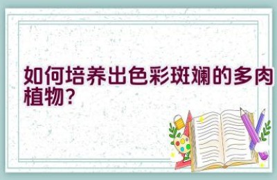 如何培养出色彩斑斓的多肉植物？